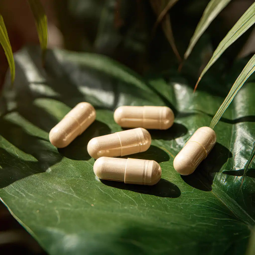 Daily Essentials your foundation for everyday wellness. Capsules on a green leaf.