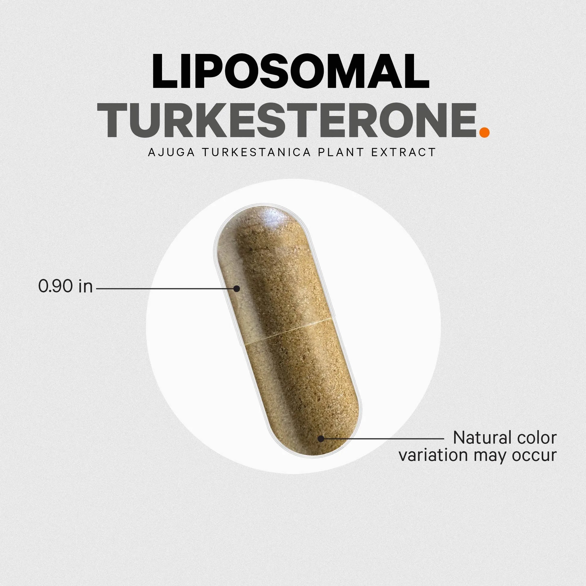 Liposomal Turkesterone+ by Codeage