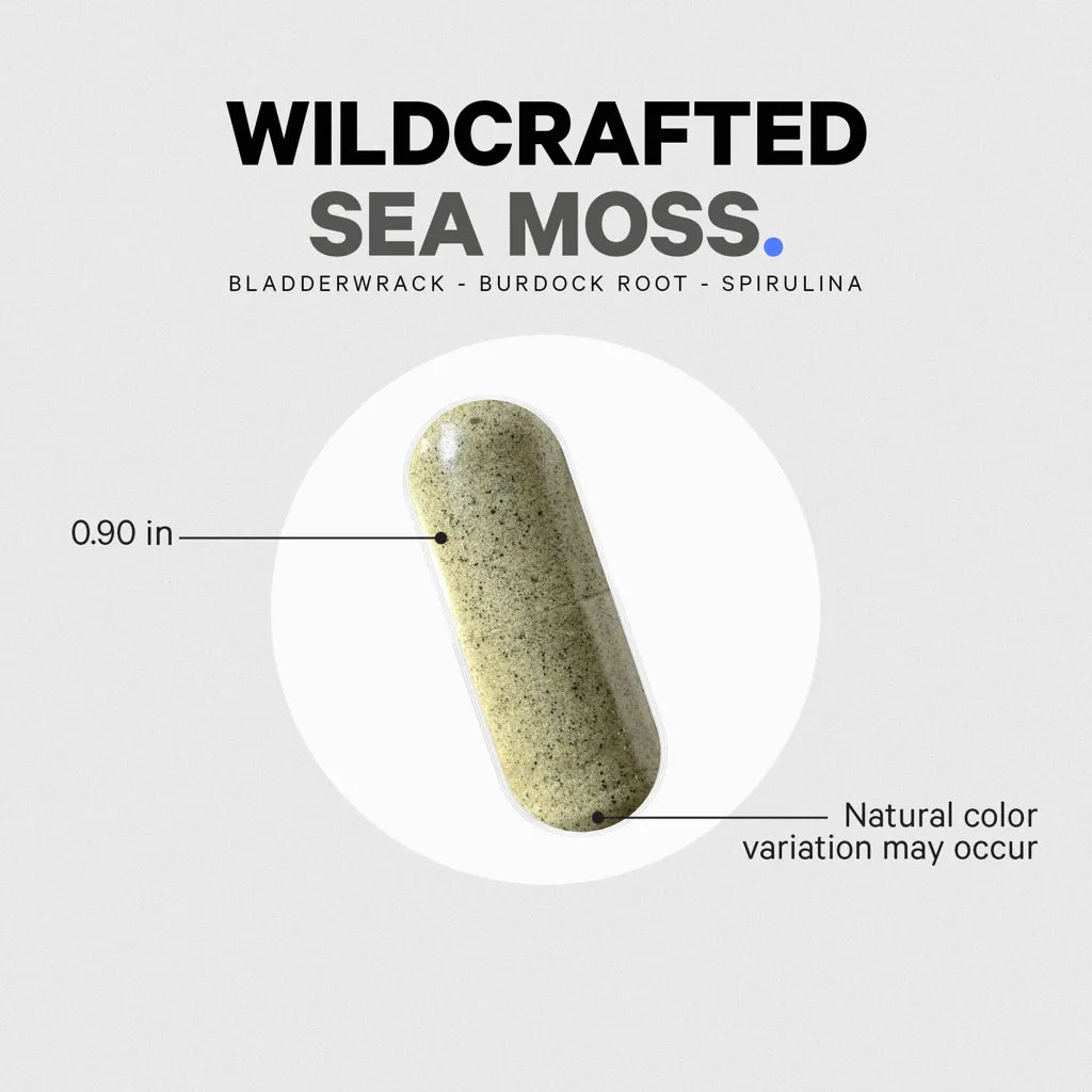 Sea Moss+ by Codeage Example Supplement