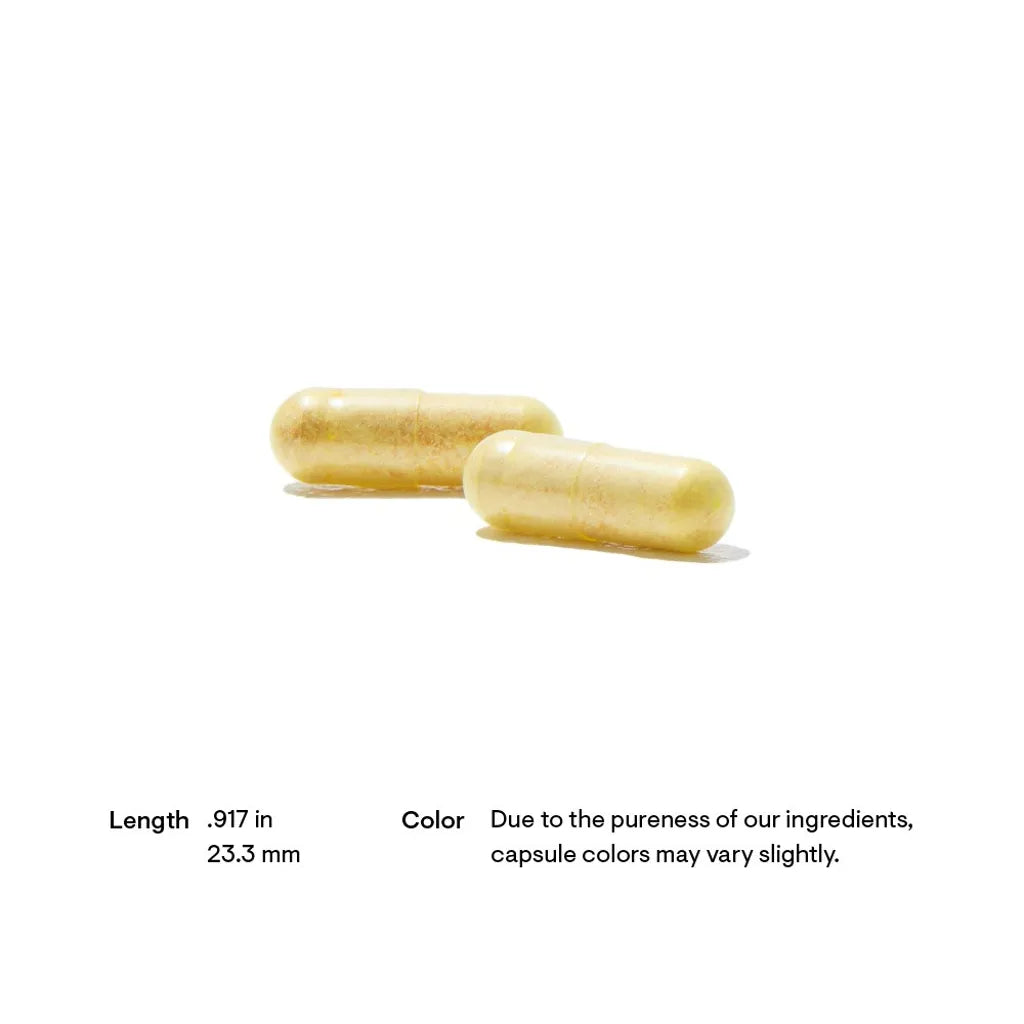 S.A.T. by Thorne Example